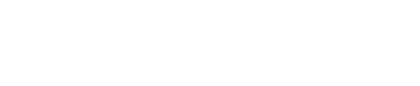 Intellnovo